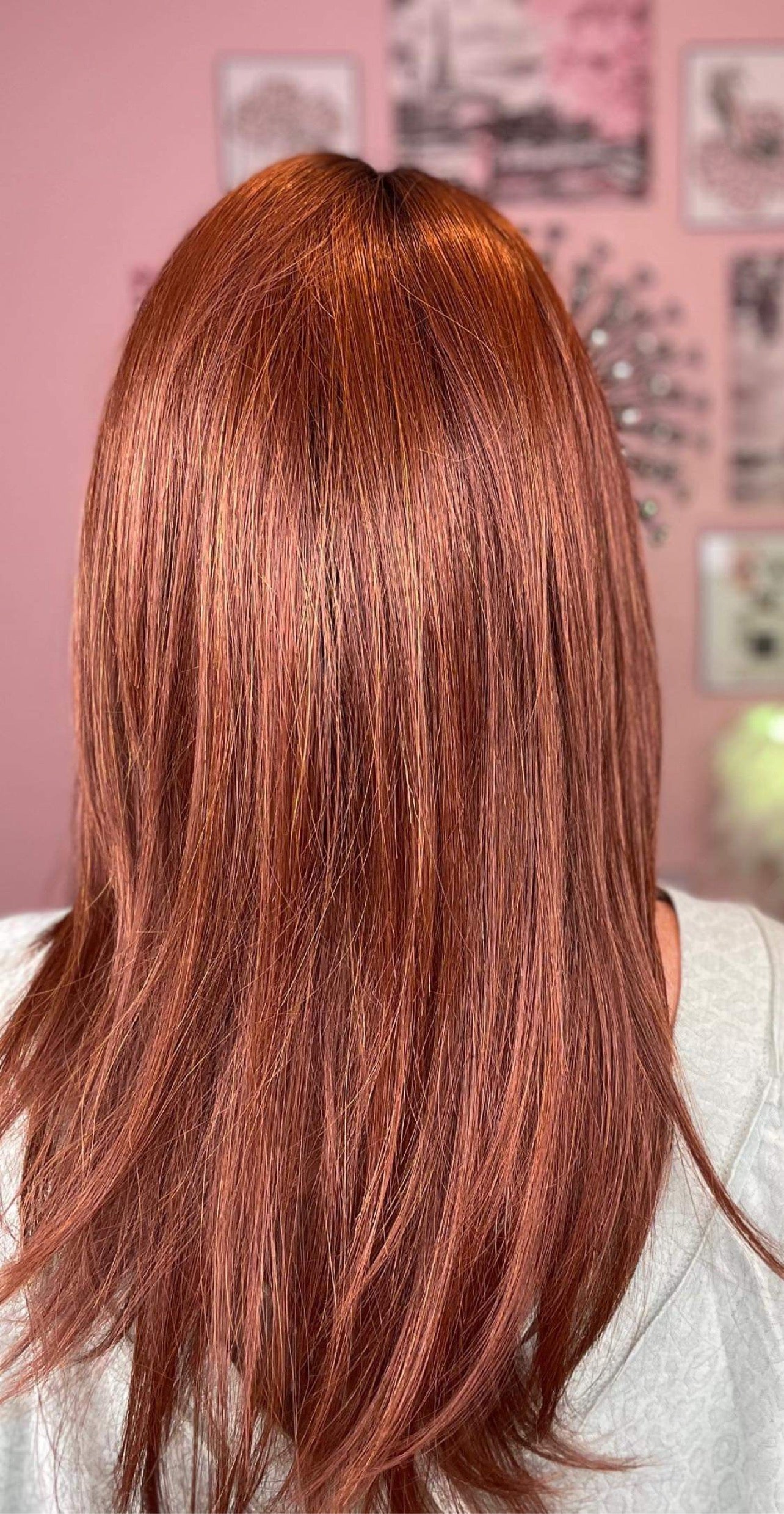 First Class Cinnamon Spice